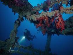 Reefs and Wrecks Cruise Reefs and Wrecks Cruise